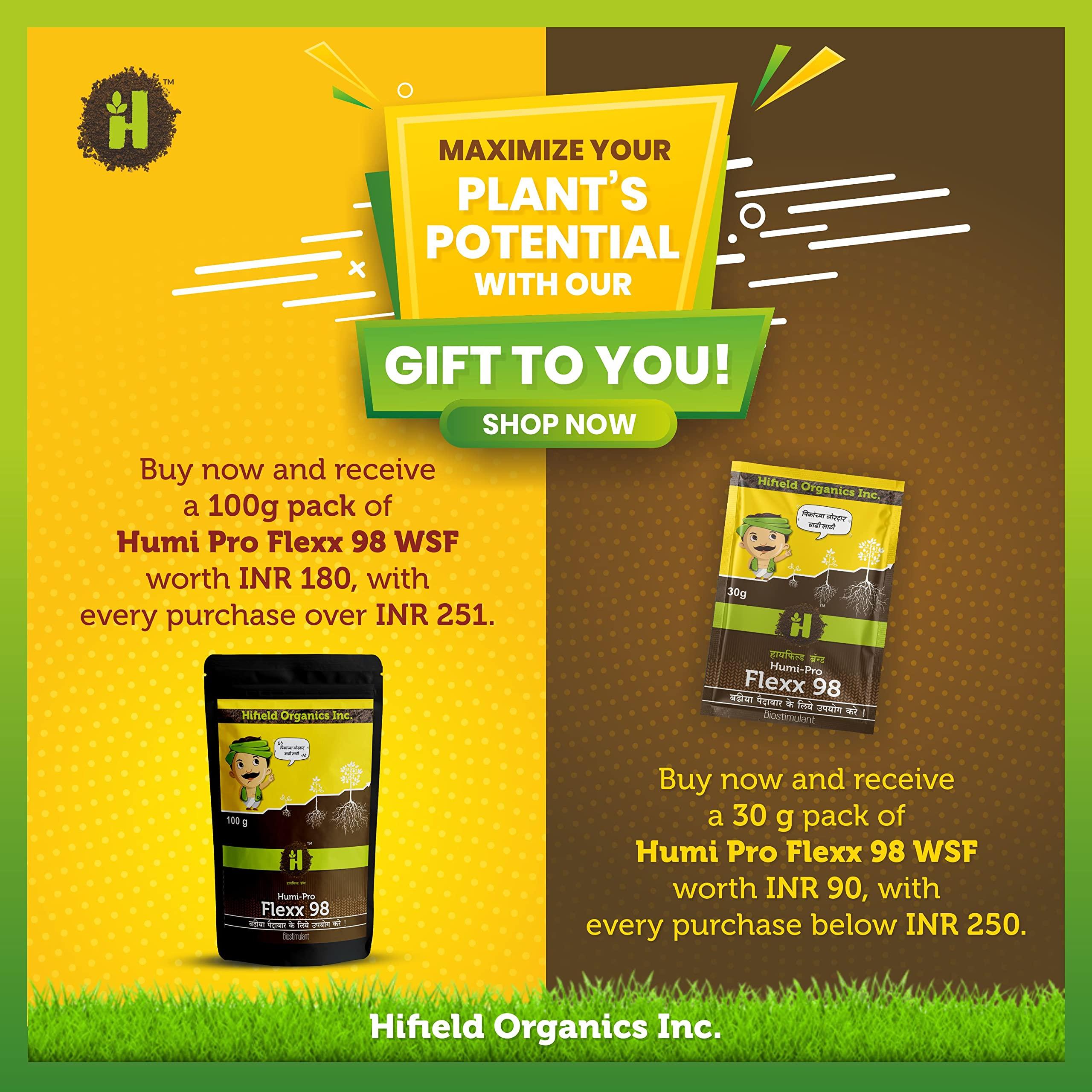 HIFIELD Amibion - 1 LTR Flower Plant Protein Supplement for flower blooming fertilizer, Amino flower growth booster fertilizer,Plant Growth Supplement, terrance Home Garden, fertilizer for fruit plants