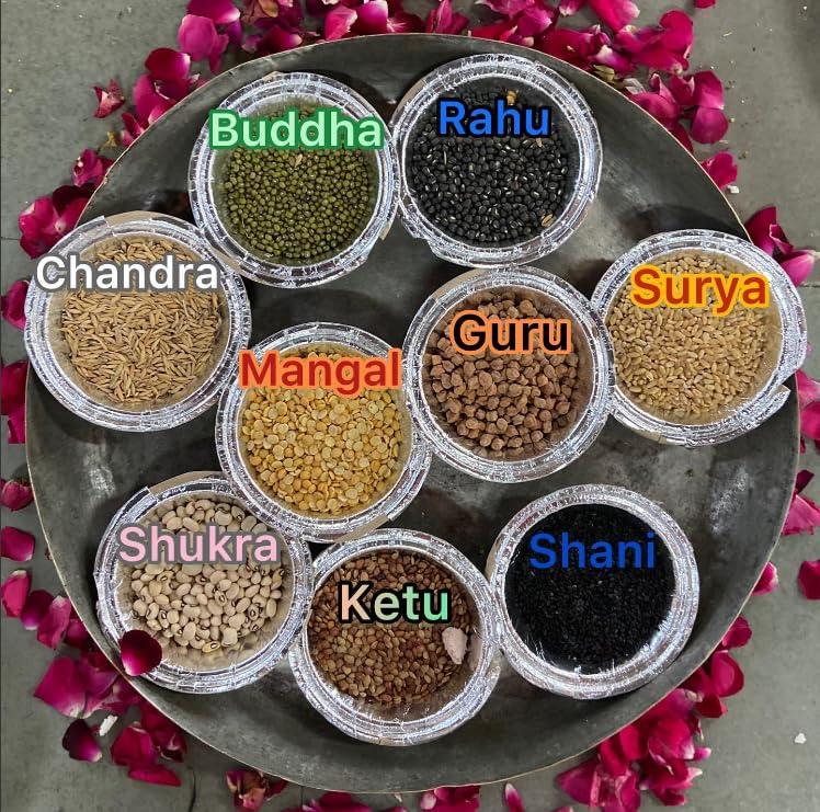 MMR GLOBAL MMR Navadhanya set 9 grains Mixed (500 gms)