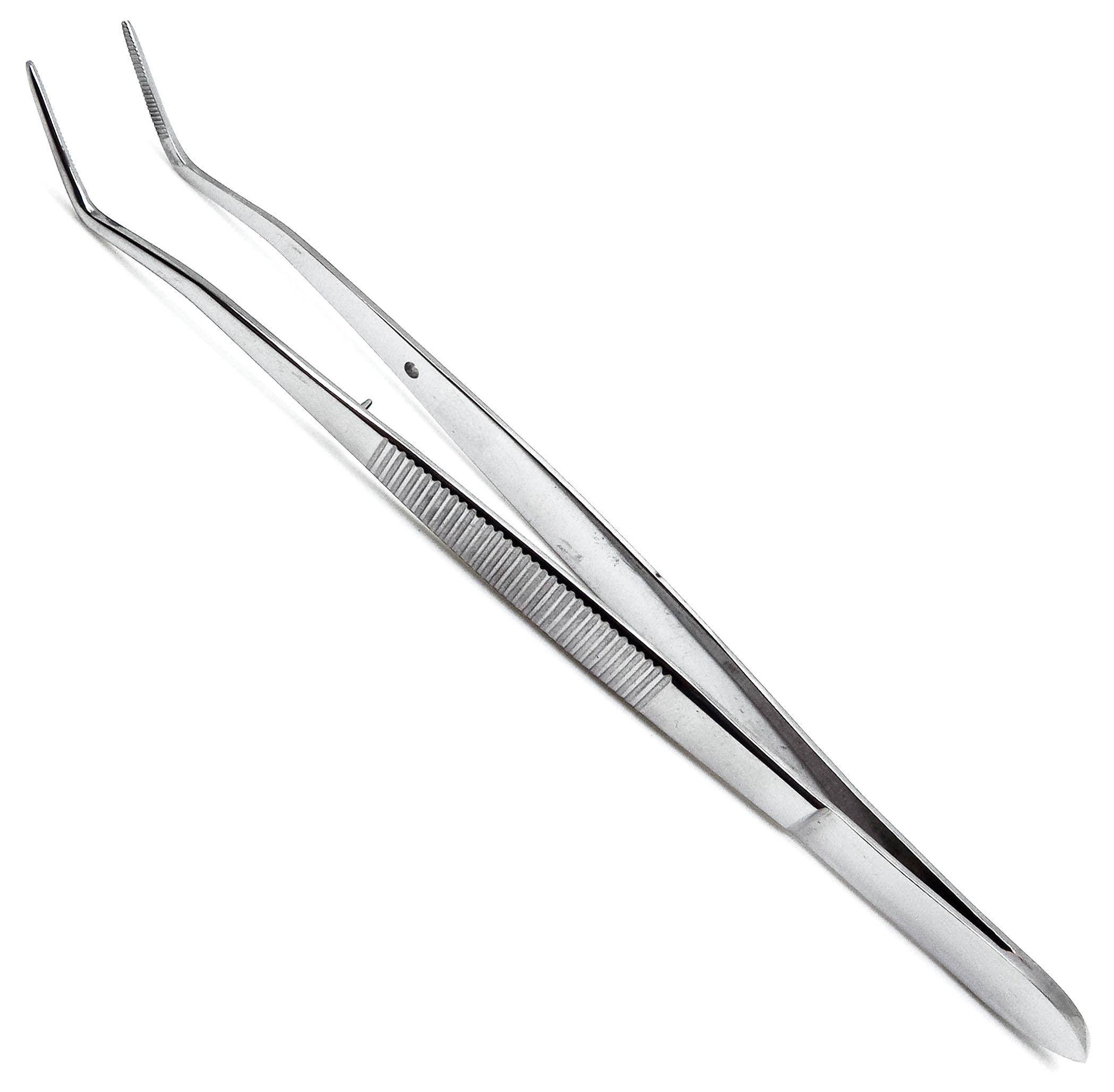 Omega Dental Stainless Steel Tweezer | Tweezer | Dental Instrument (Set Of 3)
