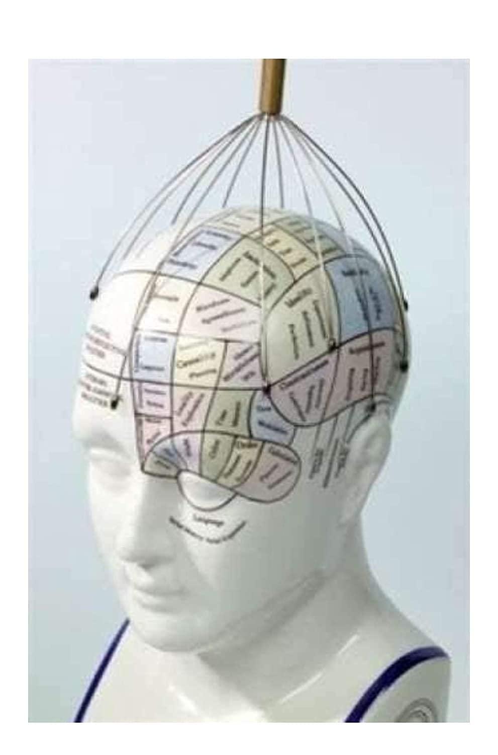 DIBEJI DIBEJI Head Massager Scalp Massage Machine Scalp Scratcher Metal Scalp Masager Head Scratcher for Head Masage, Body Relaxing, Pain Relief and Hair Massage Spring (Pack of 1)