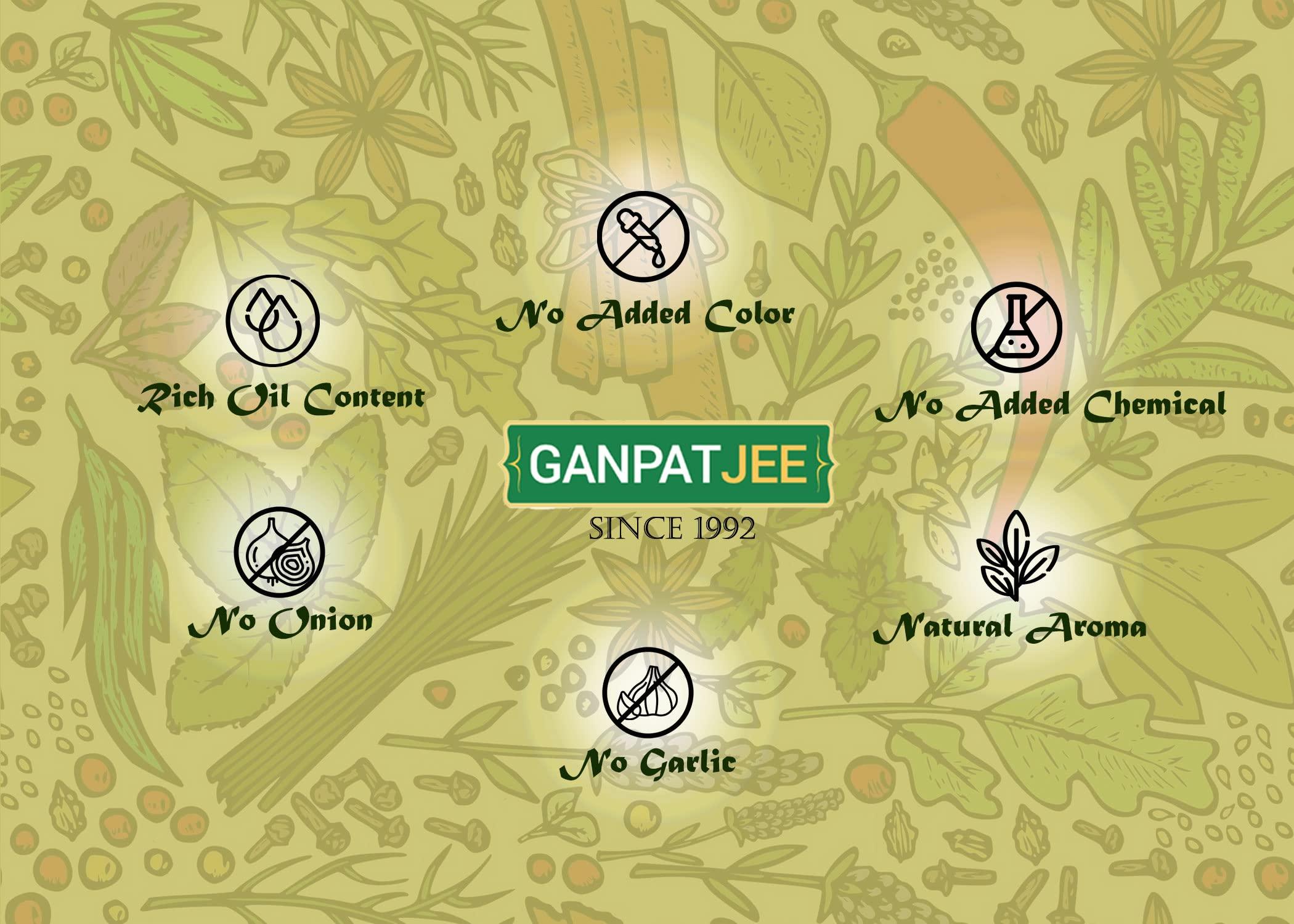 Ganpatjee Ganpatjee Garam Masala Powder, 100g | Super Strong Flavour Without Dhaniya Authentic Taste