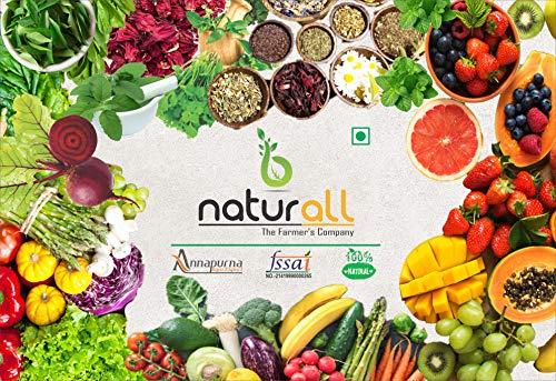 B Naturall B Naturall Fruit Powder Combo Pack of 5 Custard Apple, Mango, Pomegranate, Pineapple & Watermelon Powder |Dry, No Added Sugars and Preservatives ( 100 GM Each ) = 500 GM by B Naturall