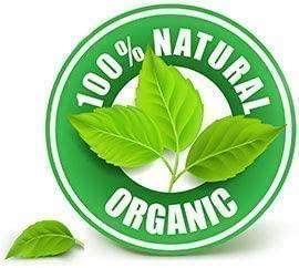 TRH TRH Sonth Powder | Sounth Powder | Zingiber Officinale | Dry Ginger Powder | Spice Dry Ginger Powder | Organic Sonth | Ginger Pure | Dry Adrak | Dry Ginger |Pure Sabut Saunth (100)