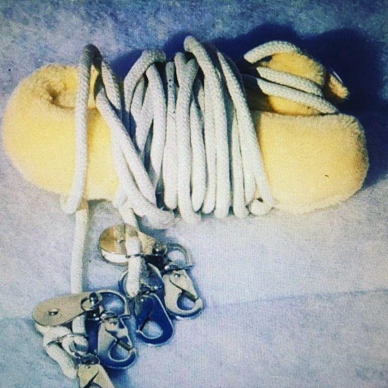 AMARYLLIS AMARYLLIS Corainder/Dhaniya Powder(Hand-Pounded), Natually Processed & 100% Organic with Zero Added Flavours & Colors(Chemical Free) | Rajasthan Special |250 grams