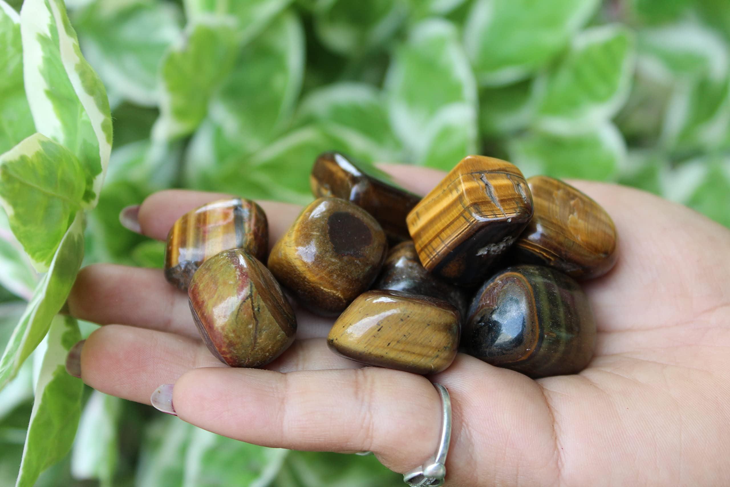 Clinch White Chocolate Brazilian wax for bikini lines(500gm)