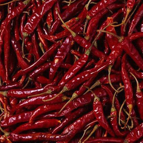 MR & SONS MJR Dry Guntur Mirchi - Hot Dried Red Chilli - 500 Grams/Sabut lal Mirch/Red Chilli Whole