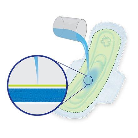 Sofy Sofy Antibacteria Extra Long Sanitary Napkins - 30 Pads (Pack of 1)