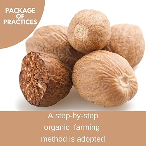 BOTLEAF BOTLEAF Nutmeg Powder 200 GMS Idukki variety Derived from mature kernels of Nutmeg from our farm Kerala Origin Jaiphal Jaifal 200gm