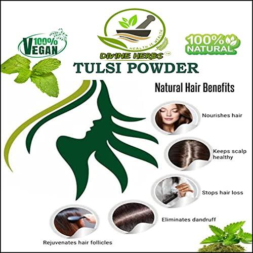 DIVINE HERBS DIVINE HERBS Tulsi Powder For Face Pack And Hair Growth,Hair Fall And Dandruff Control,Face Pack-100 GM