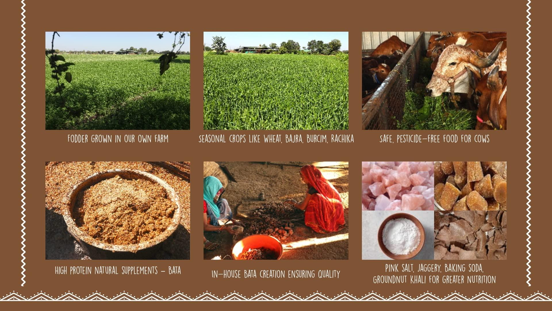 SUKHAKARAM SUKHAKARAM A2 GIR COW GHEE 500 ml | ORGANIC GRASS FED INDIAN GIR COW | TWO WAY WOOD CHURNED WITH BILONA METHOD | GLASS BOTTLE | PURE, NATURAL AND HEALTHY