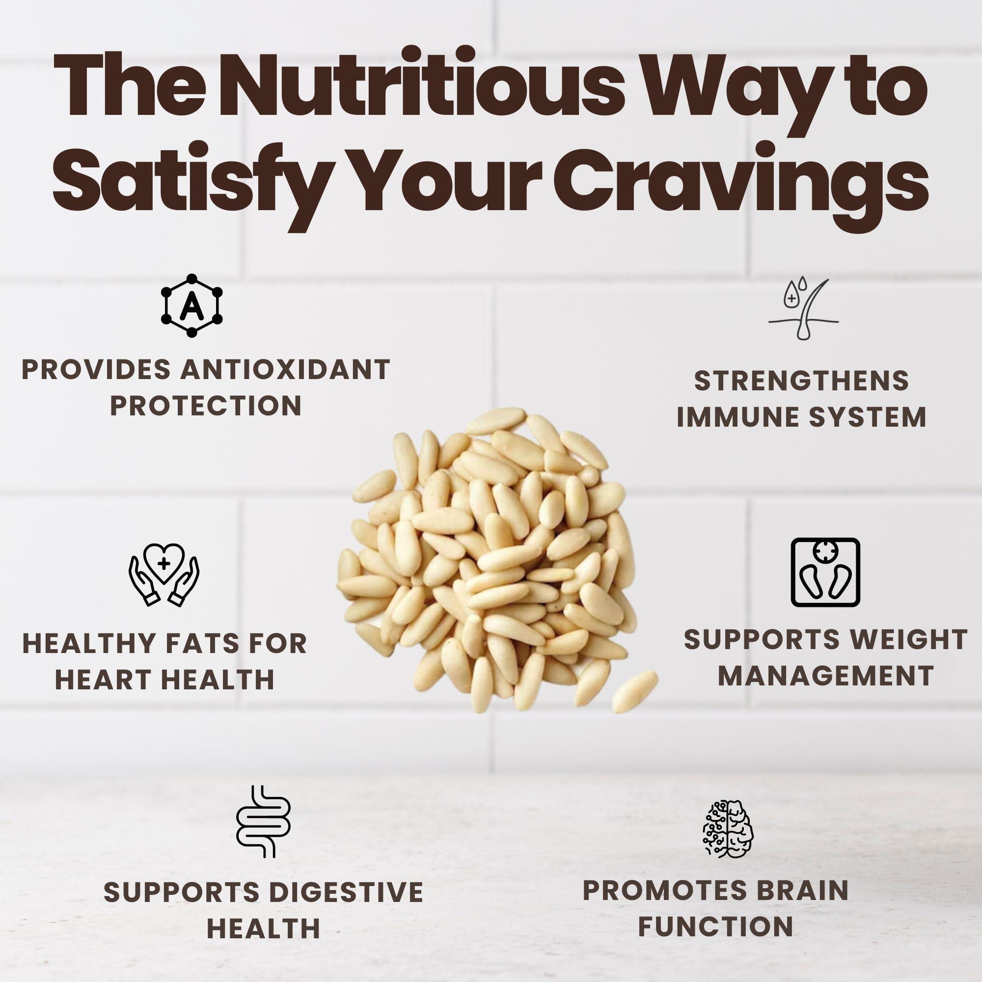 Notty Nuts -FOR A HEALTHY LIFE Notty Nuts -FOR A HEALTHY LIFE 100% Natural Pine Nuts without Shell 200gm | Chilgoza Giri | Chilgoja Seeds | Pine Seeds Jumbo Size Pure Dry Fruits