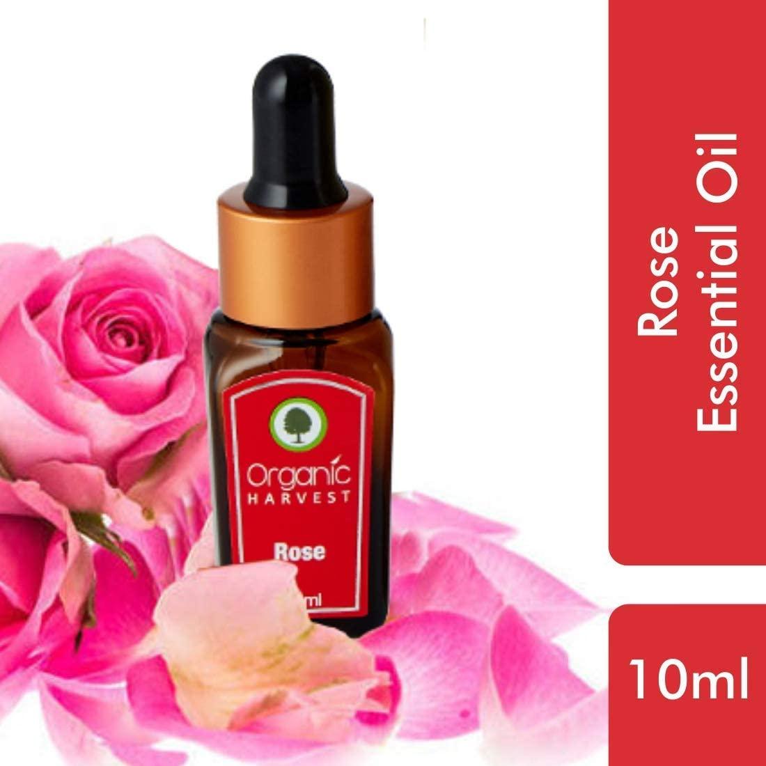 Organic Harvest Organic Harvest Combo of Rose, Jasmine, Lavender & Rosemary Essential Oil, For Face & Hair Care, Pure & Undiluted Therapeutic Grade Oil, Excellent for Aromatherapy,100% Organic, Paraben & Sulphate Free, 10 ml Each