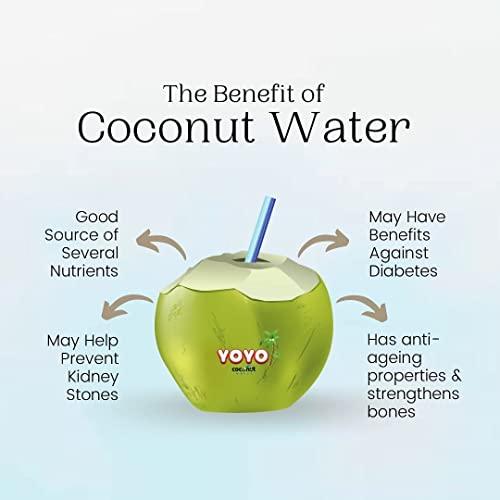 YOYO Coconut Water YOYO Coconut Water, Refreshing Coconut Flavour, Vital Minerals (Pack of 1, 310ml Each)