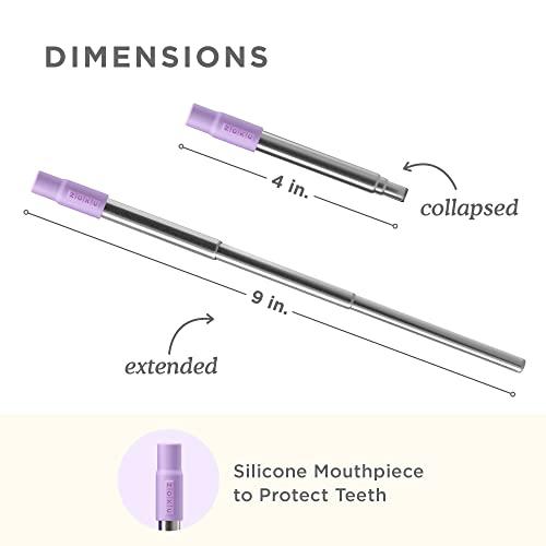 Zoku ZOKU - Reusable Straw with Case for thinKitchen:, for Travel, Work and On The Go, Collapsible Stainless Steel Metal Straw with Silicone Mouthpiece, Ideal for Key Chains, Pockets