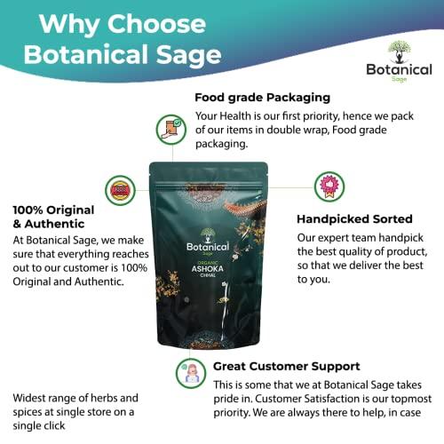 Botanical Sage Botanical Sage-Ashoka chhal 1000g | Ashok ki chhal | Ashoka bark | Ashoka chaal