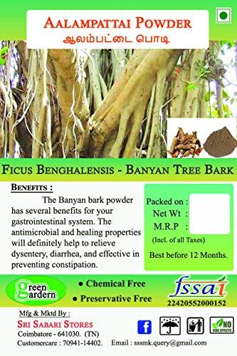 green gardern Green gardern Banyan Tree Bark| Ficus benghalensis | Aalam Pattai Powder 500g