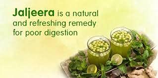 Spicy Wind Jal Jeera Masala | Jaljira Powder | Chatpata Jaljeera Masala Powder | Instant Drink Mix | Jaljira Masala | Instant Drink Masala Powder - Pack of 3 (500 Gm)