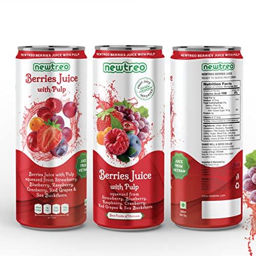 Newtreo Newtreo Berries Juice With Pulp | Imported from Vietnam | Strawberry, Blueberry, Raspberry, Cranberry, Red Grapes & Sea Buckthorn Juice | 12 x 250ml cans | No concentrates or preservatives added
