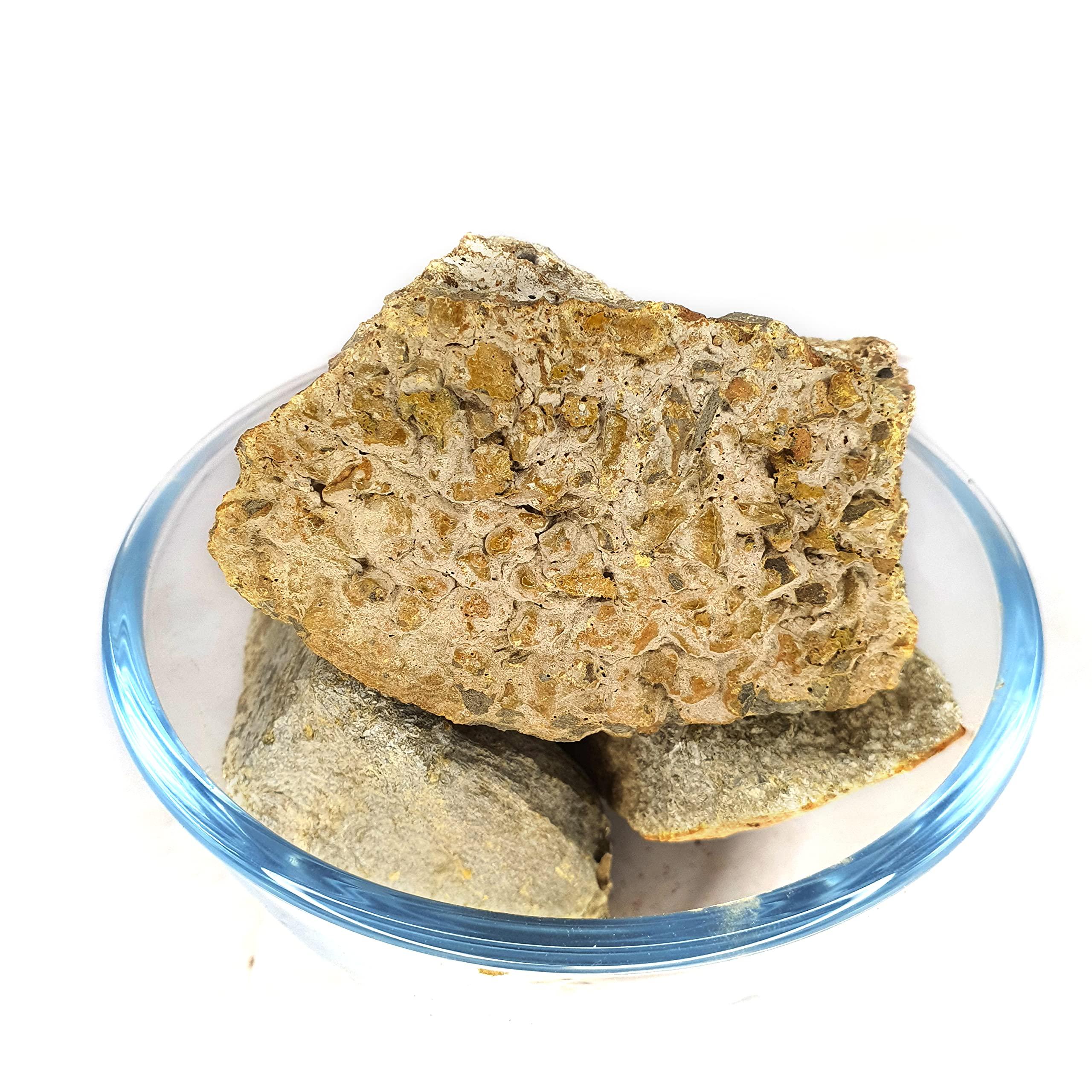 Generic Masso Pansari Murda Singi Murdar Singh Seng Litharge (200gm) | Chemical Free | No Added Preservative | Pure & Natural Murda Sindi