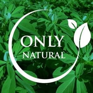 LOVE SHOTS Love Shots Energy Drink, Natural Vitamin C, Potassium, Iron, and Manganese Plant Based (B2, B3, B5, B6, and B12) | Energizing Beverage|Lemon Grass,250 ml (12 Pack Non caffeinated Natural Tuermeric Based)