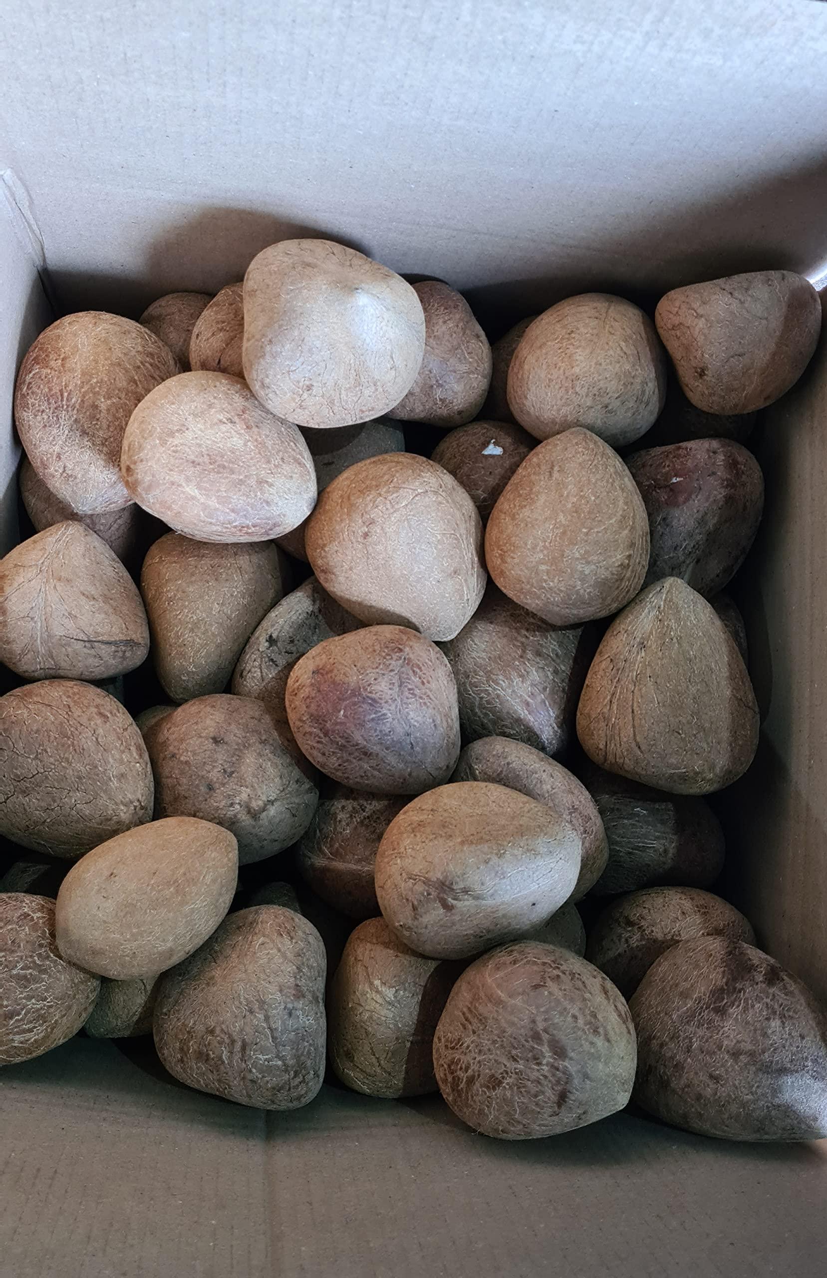 Coco Ball Coco Ball Fresh Dry Coconut (Copra / Kobbari) (400g)