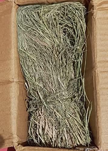 indianvedic Dried Dry Doob Ghaas Durva Grass Bahama Ghas Indian Couch Arugampul | Cynodon dactylon 150g