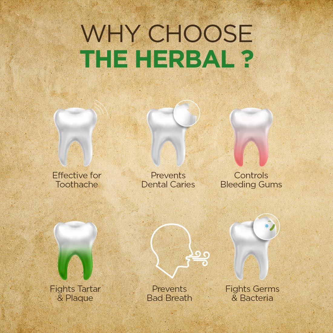 The Herbal The Herbal Botanical Toothpaste100g | 100% Herbal Actives Oral Care & Toothpaste | Toothpaste For White Teeth, Stronger Teeth and Fresh Breath | Sls Free Toothpaste, Sugar Free | Pack of 6