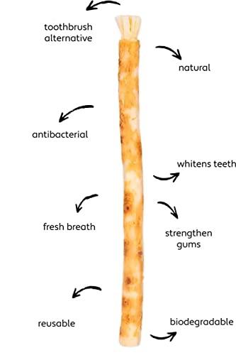 Generic Miswak tooth brush/Datun Stick/Pack of 10