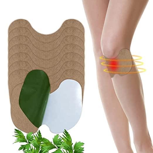 R A Products Professional Herbal Knee Plaster Sticker Pain Relief and Inflammation Patches Joint Knee Relief Patches Kit Natural Wormwood Extract Sticker Knee Pain Relief Patches For Men Women Pack Of (10)
