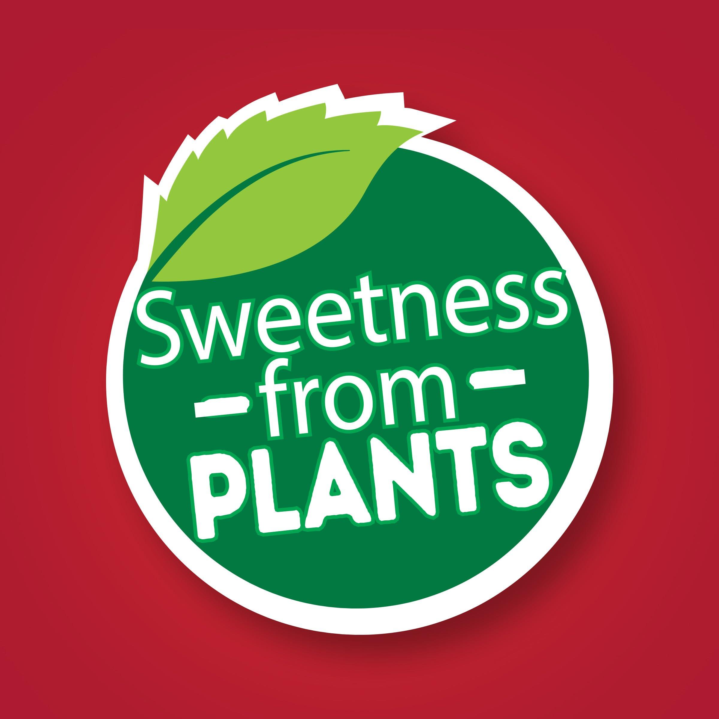 HEINZ HEINZ Tomato Ketchup - No Sugar Added, 369 g