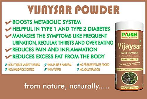 IYUSH IYUSH Herbal Ayurveda Vijaysar Powder (pack of 2)- 100gm each