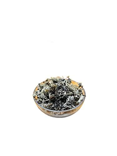 Ayushiv Ayushiv CHADILA (Parmelia Perlata) - STONE FLOWER- CHAD CHADILO- PATHAR KE PHOOL- CHADILA PATHAR PHOOL (400)