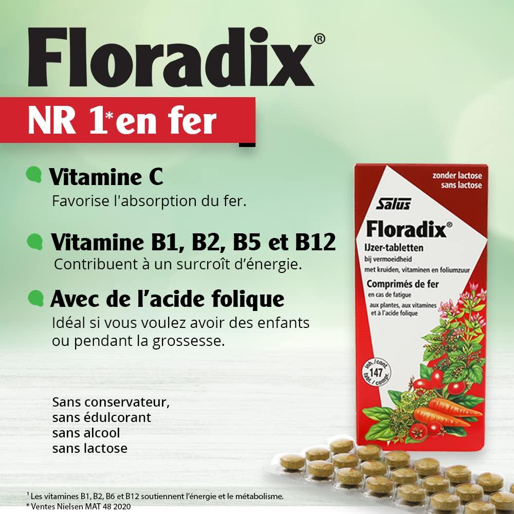 Floradix Floradix Iron 84 Tabs