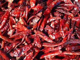 Kitchen Jungle Kitchen Jungle Mathania Red Chilli (Lal Mirch sabut) Whole Chillies 400gms