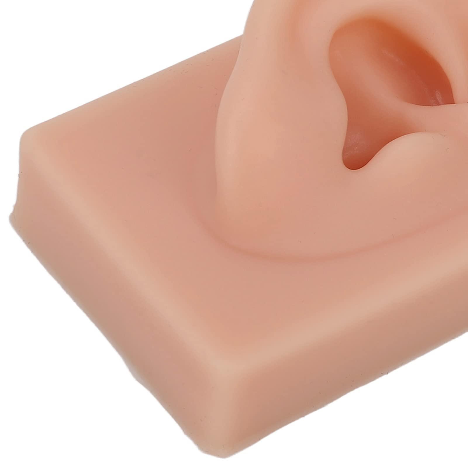 Bannt Fake Ear Model, Easy To Use Right Ear Flexible Silicone Human Ear Model for Earrings Display for Ear Piercing Training Dark Complexion