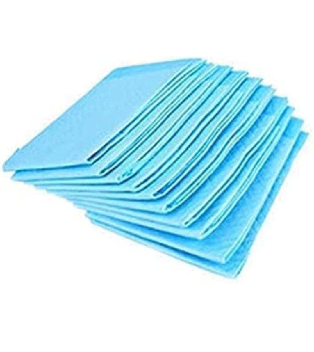 ARAI Underpads Undersheet Pads Disposable Large for Adult & Baby (100 Count)