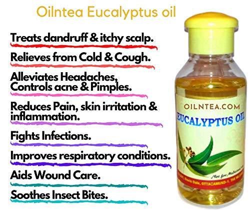 oilntea 100% Pure Nilgiri (Ooty) Eucalyptus Oil, Natural & Farm Fresh Nilgiri tel For Cough & Cold, Headache, Body & Muscle & Joint Pain, Aromatherapy, Mehandi and Diffuser (500ml+500ml)