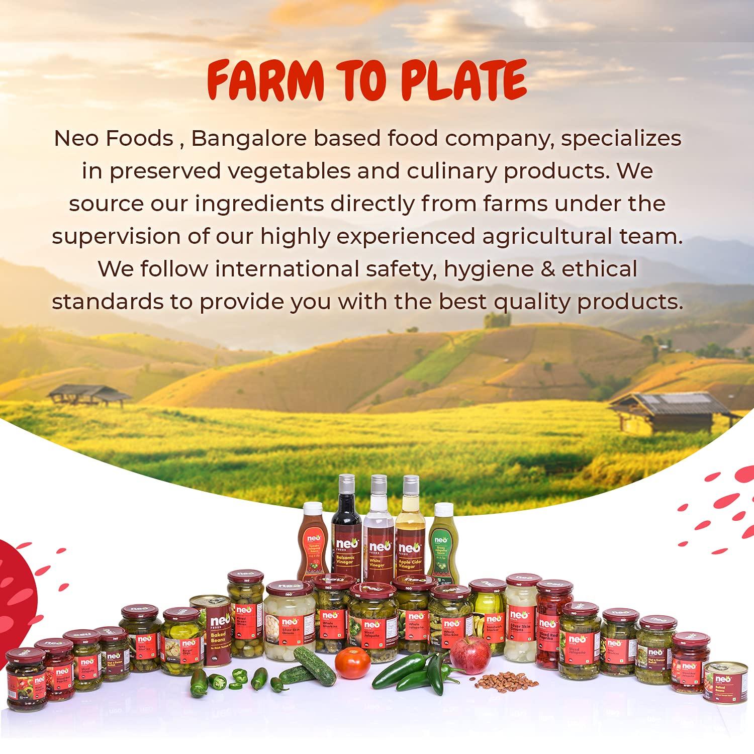 Neo Neo Tomato Jalapeno Sauce 290g I 100% Vegan I Gluten Free I Use as Dip Spread Marinade Sauce I Topping and Dip for Snacks, Spicy Sauce I Enjoy as Spread for Sandwich and Vada Pav I Pack of 1