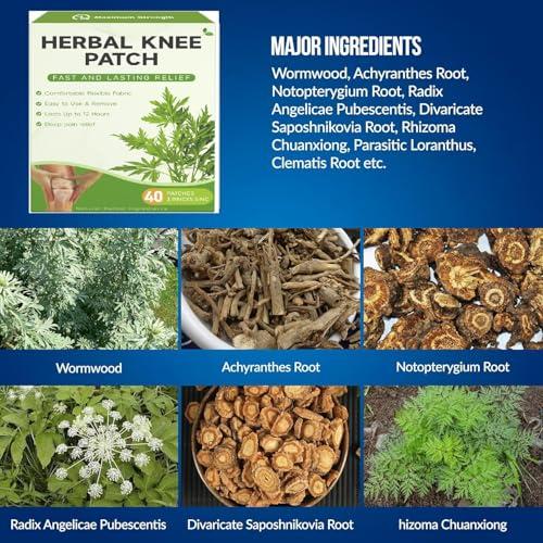 FI FIDROXIMPERIA PAIN RELIEF KNEE 20 PATCHES Herbal Knee Plaster Sticker Pain Relief and Inflammation Patches Joint Knee Relief Patches Kit Natural Wormwood Extract Sticker Knee Pain Relief Patches (Pack Of 20)