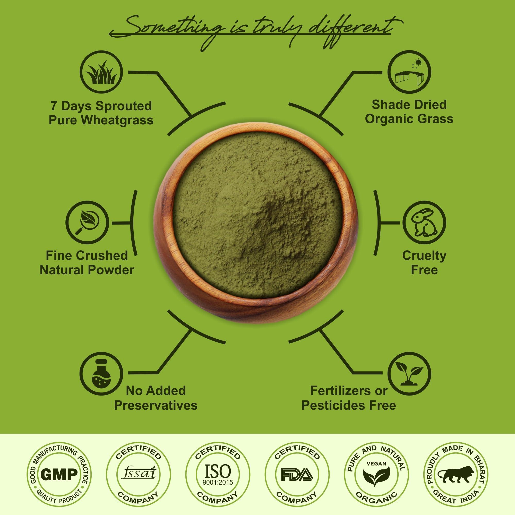 IYUSH Herbal Ayurveda IYUSH Herbal Ayurveda Wheat Grass Powder - 500gm (Rich in Chlorophyll, Antioxidants, Fatty Acids, Fibers and Minerals)