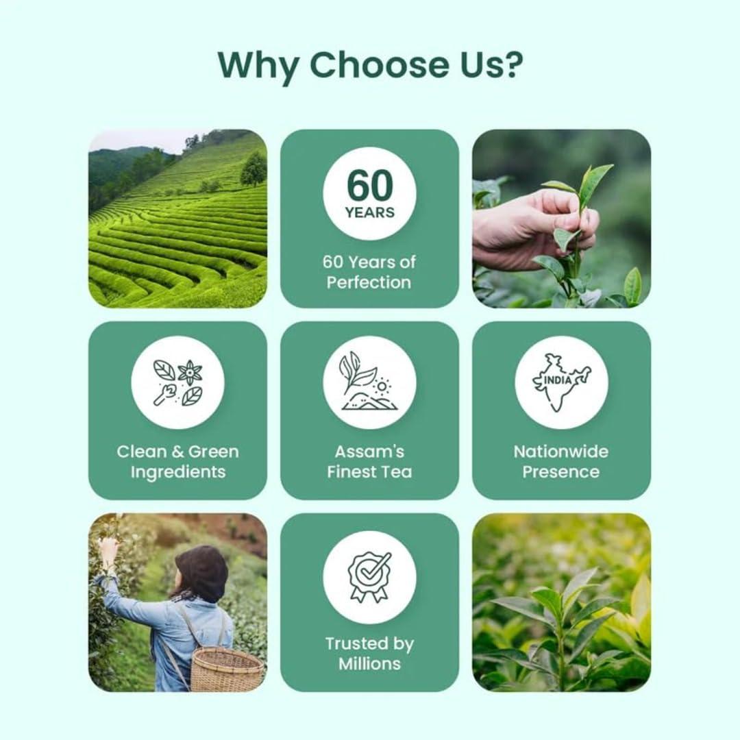 APSARA APSARA Detoxifying Kahwa Green Tea - 100 Tea Bags, Spiced Kashmiri Desi Kahwa Green Tea, Immunity Booster, Blended with Rock Salt, Tulsi, Cardamom, Cinnamon, Black Pepper, Ashwagandha Tea