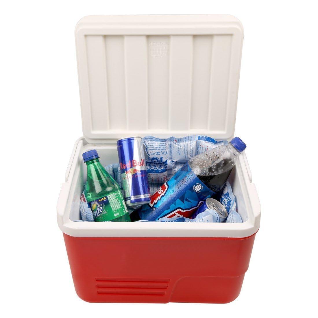 EASY ICE Cool Energy Easy ICE 5 Sheet Pack for Ice Boxes, Coolers & Cold Storage  Long-Lasting, Reusable & Safe Cooling Sheet for Ice Box, Cold Therpy, Toothech, Fever, Neck, Elbow Pain