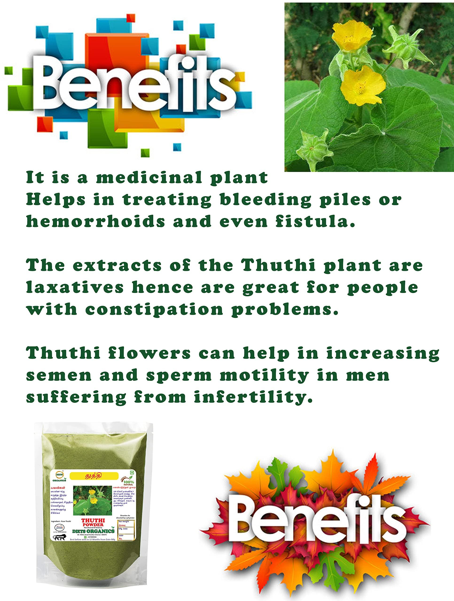 DIETS ORGANICS Diets Organics Thuthi Leaf Powder, Indian Mallow Leaf Powder, Abutilon indicum/Thuthi Ilai Podi/Atibala/Duvvena Benda/Velluram/Tutti Gida-250 G