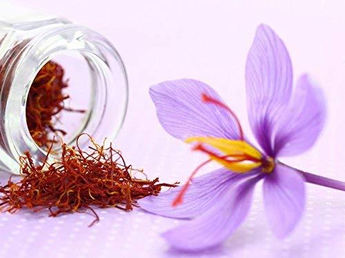 Ramayana Ramayana Original Saffron, 1 gram Pack - Highly recommended during Pregnancy