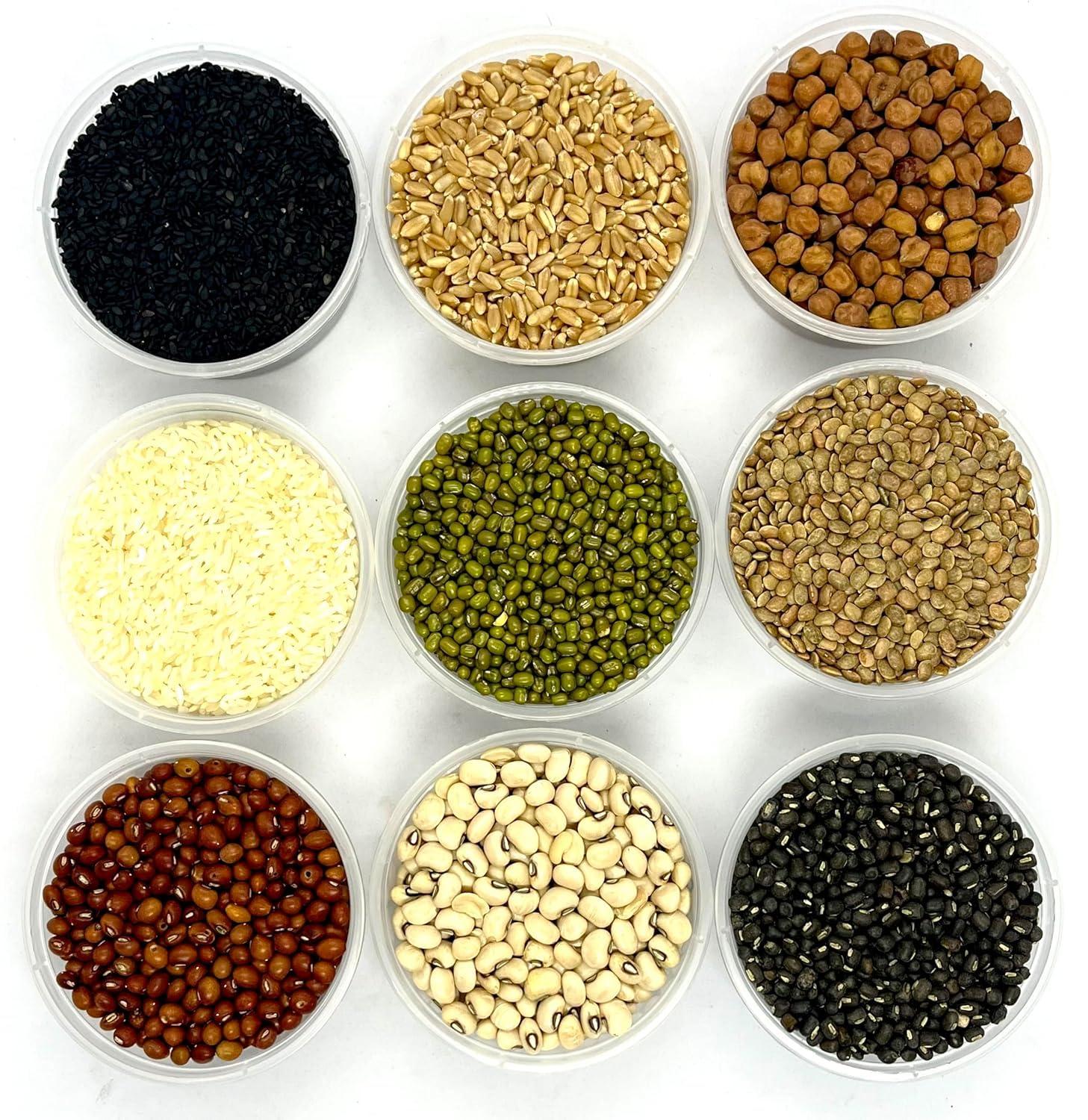 Awadh Navagraha Grain Pooja Set 9 Grains Naadhanyalu for Pooja - Navadhanyalu for Navagraha Pooja, Navratri Pooja Item, Navgrah Pooja Anaj, Pooja Articles - FROM HOLY LAND AYODHYA - 451g