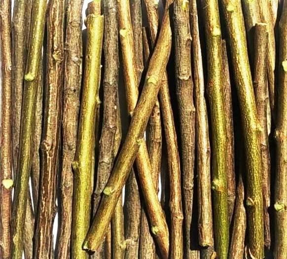Alekip Organic Neem Chew Sticks for Healthy Teeth and Gums - 20 Sticks