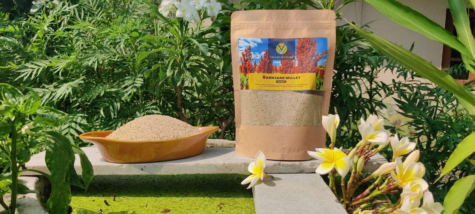 Promifun Promifun Bunion Cushions and Protectors, 12 Pieces of Bunion Pads and Cushions, Bunion Corrector for Big Toe, Relieve Foot Pain from Friction, Rubbing and Pressure