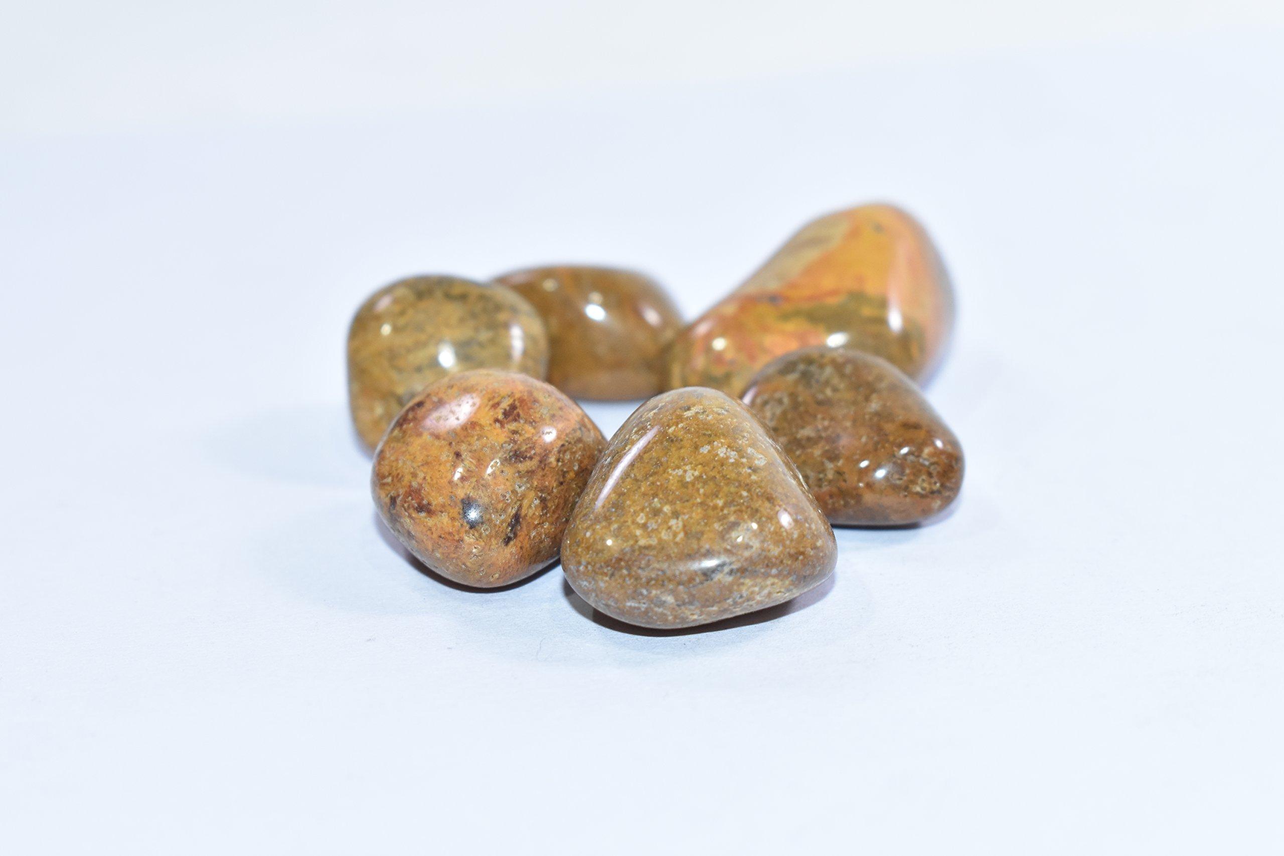 Rameshchand Trading Natural Camel Jasper Polished Tumbled Set of 5 Stone Chakra & Reiki Healing Manifestation Stone Meditation Crystal Pocket Stone