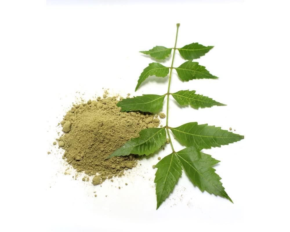 COCAME Neem Teeth Powder/Vepa aaku podi/Azadirachta indica powder/Indian lilac powder - 100 grams