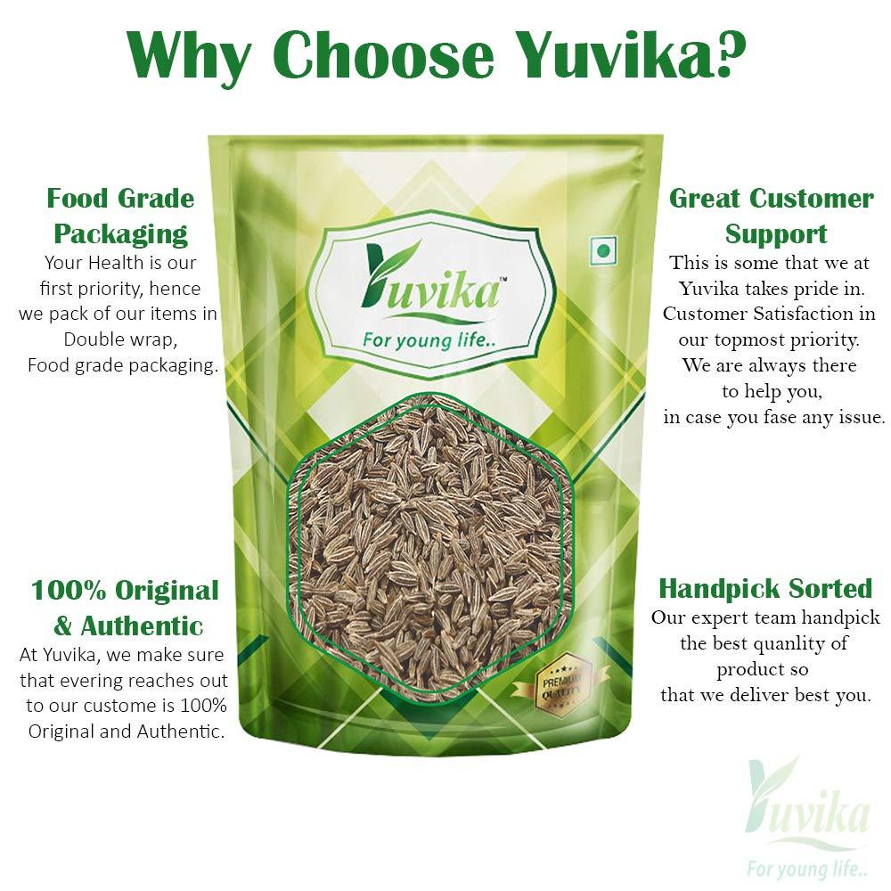 Yuvika YUVIKA Jeera Safed - Cuminum Cyminum - White Cumin Seeds (900 Grams)
